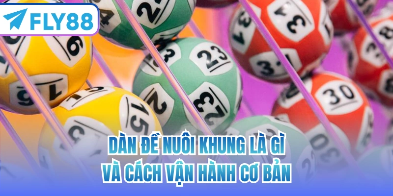 Dàn đề nuôi khung là gì và cách vận hành cơ bản