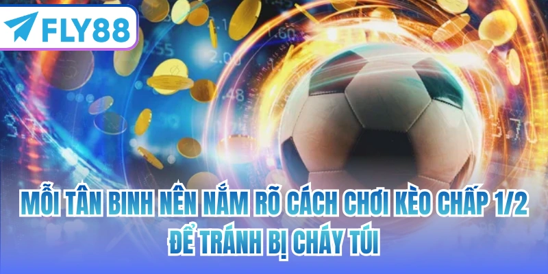 Mỗi tân binh nên nắm rõ cách chơi kèo chấp 1/2 để tránh bị cháy túi