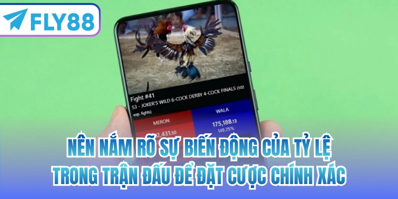 Nên nắm rõ sự biến động của tỷ lệ trong trận đấu để đặt cược chính xác