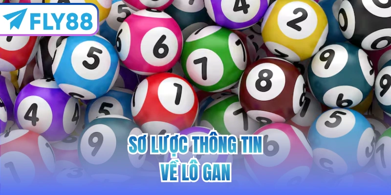 Sơ lược thông tin về lô gan